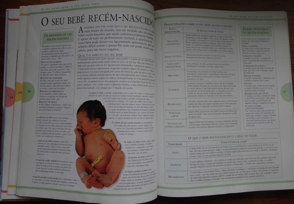 Os Jovens Pais (Guia Essencial Para Todos Os Pais Pela Primeira Vez)