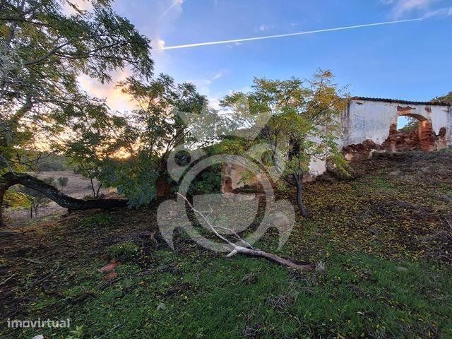 Terreno de 6,1 ha com Ruína