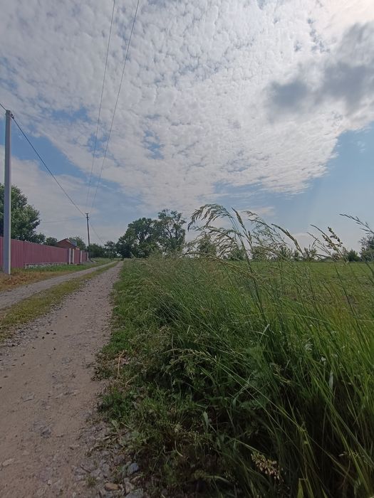 Продається гарна рівна ділянка в Гавришівці