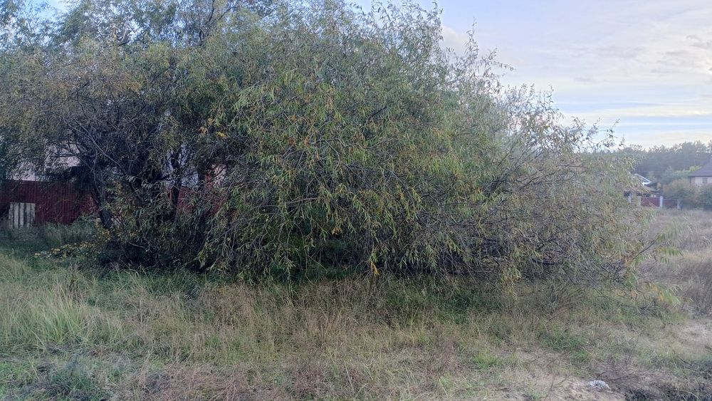 Продаж ділянки під забудову