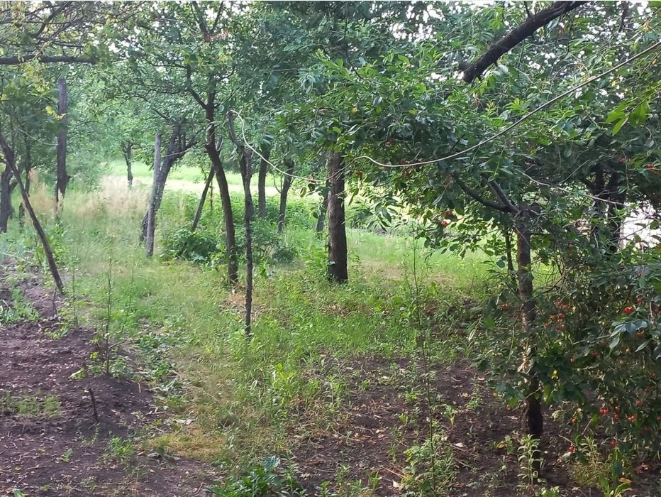 Власник. Без додатковий витрат. Будинок, дача, поблизу міста, в центрі