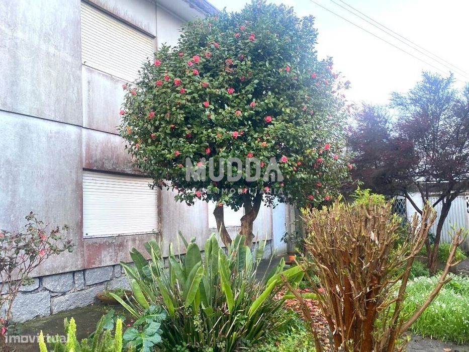 Moradia T5 em Maceda