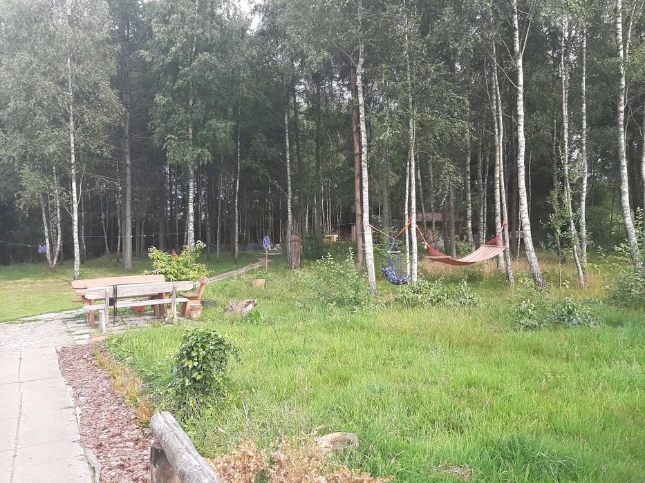 wynajem domku na Kaszubach