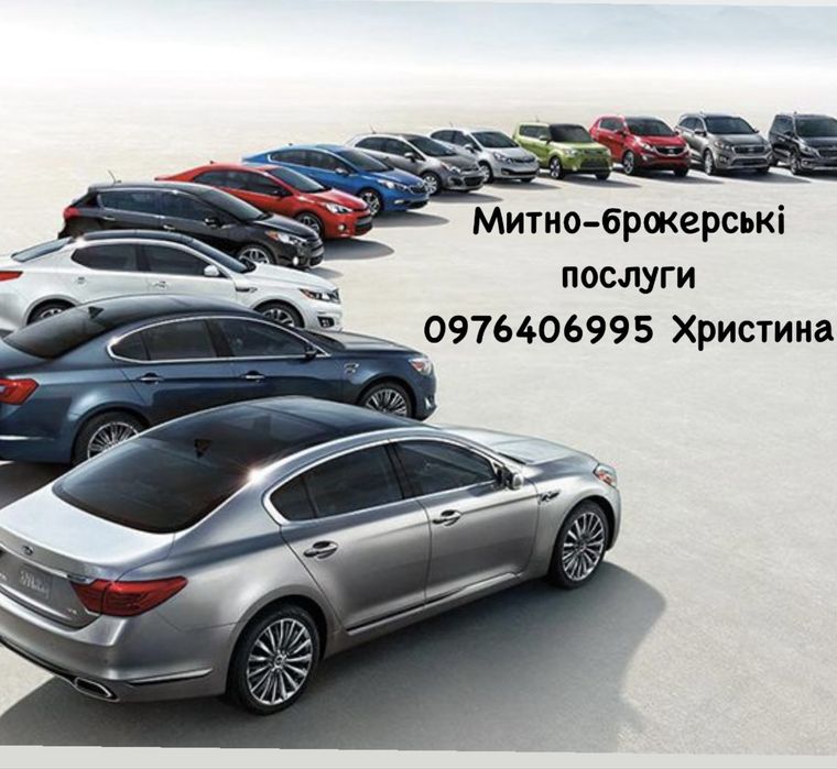 Митний брокер, Розмитнення, послуги митного брокера