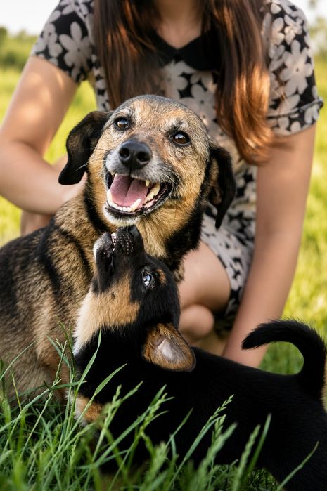 Piękna troskliwa mama do adopcji