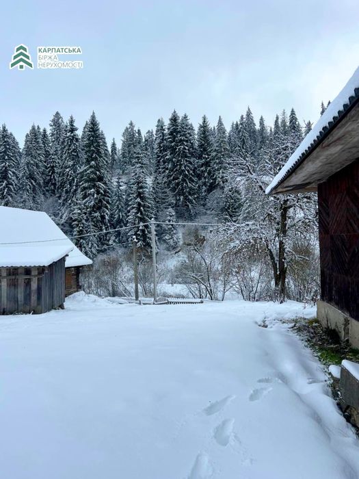 Старий будинок разом з земельною ділянкою в селі Подобовець