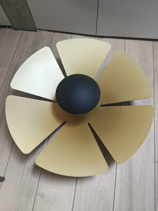 Piękna Lampa sufitowa