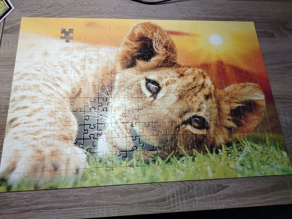 Puzzle LEW Trefl 260