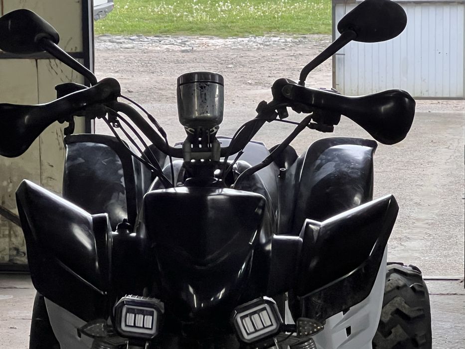 Квадрик башан 250