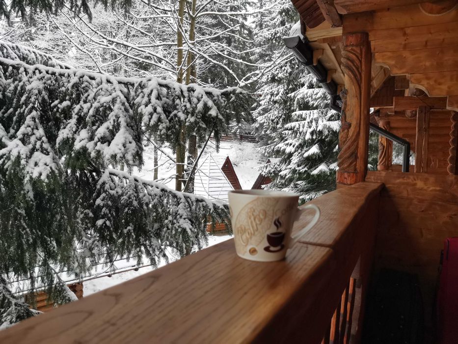 Карпати Відпочинок