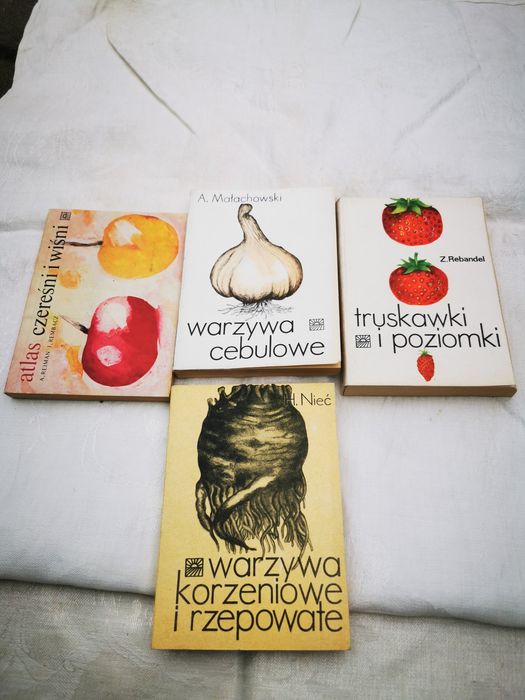 Warzywa cebulowe truskawki wiśni warzywa korzeniowe