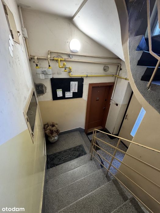 Przestronne 58,41 m² | Parter | Kamienica | 2 pokoje