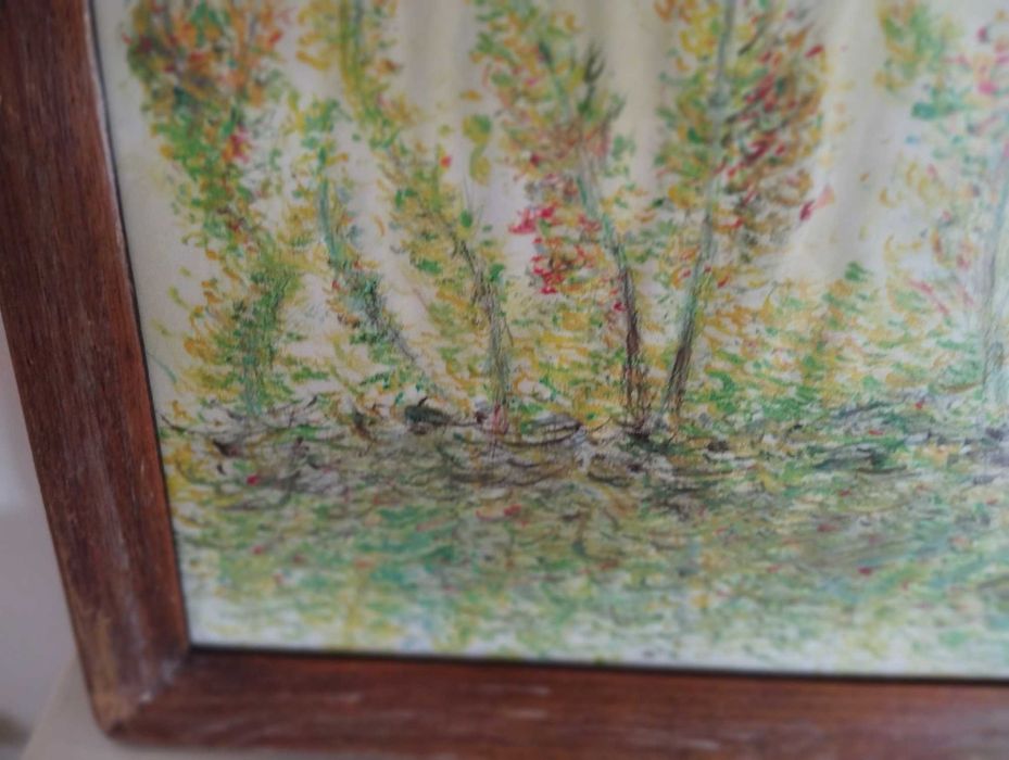 Desenho a lápis de cor quadro com moldura madeira e vidro