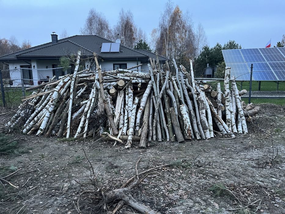 Drewno na opal ok 20 m³