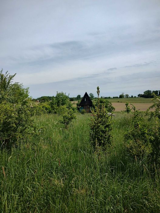 Działka rekreacyjna (nie ROD-o) z domkiem nad jeziorem 702 m2