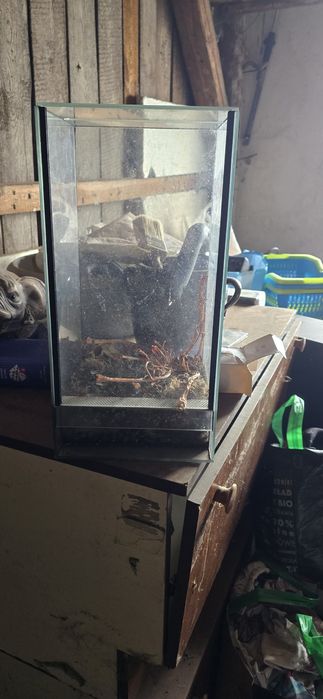 Terrarium, gilotyna