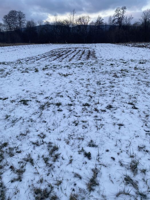 Земельна ділянка під будівництво