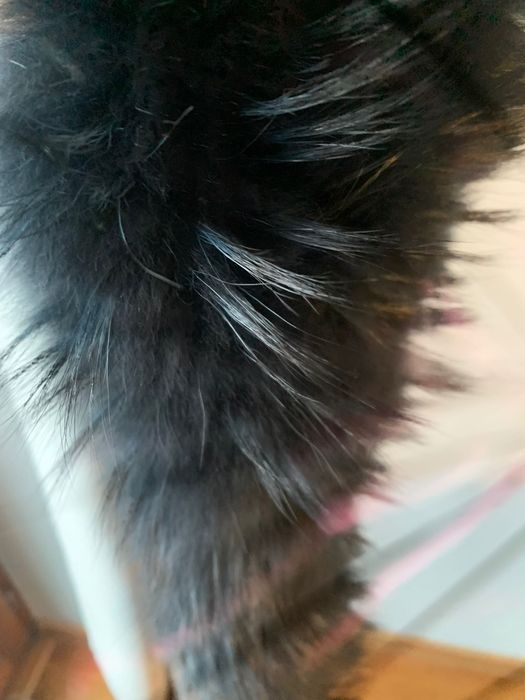 Obszycie do kaptura jenot