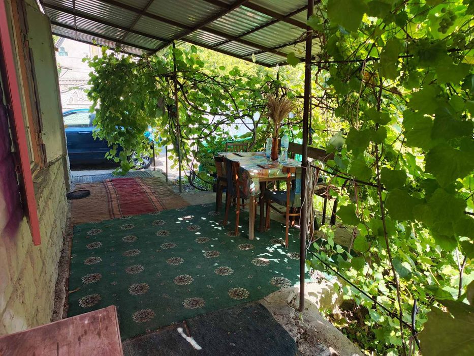 Продам дачу біля лісу