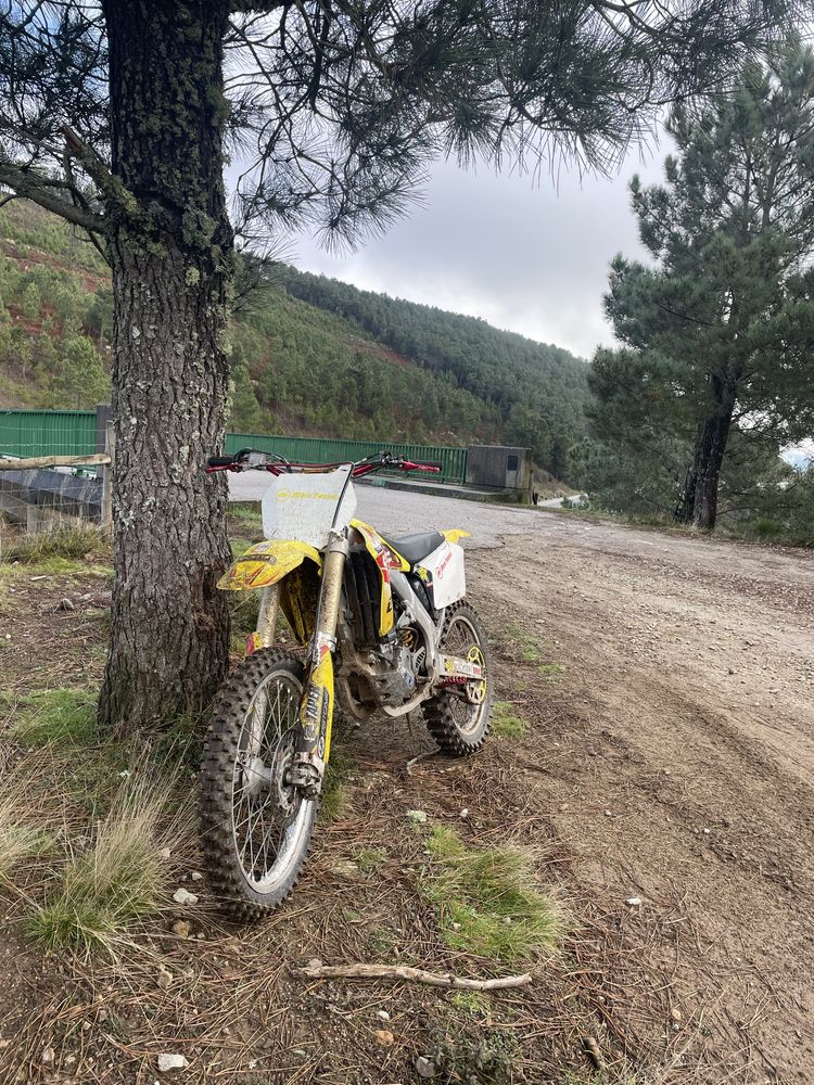 suzuki 450 enduro