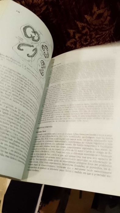 Anatomia das Plantas com Sementes - Katherine Esau