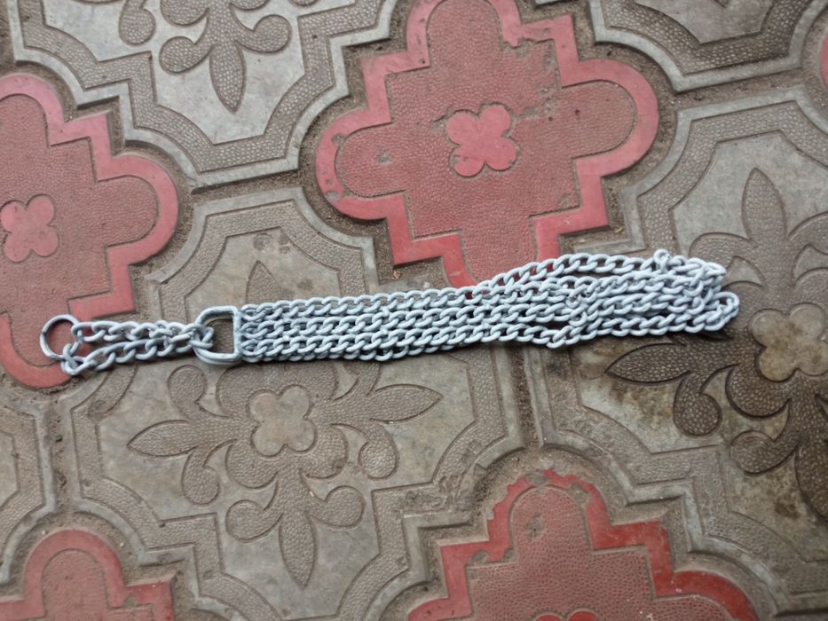 Ошейник-удавка для собаки