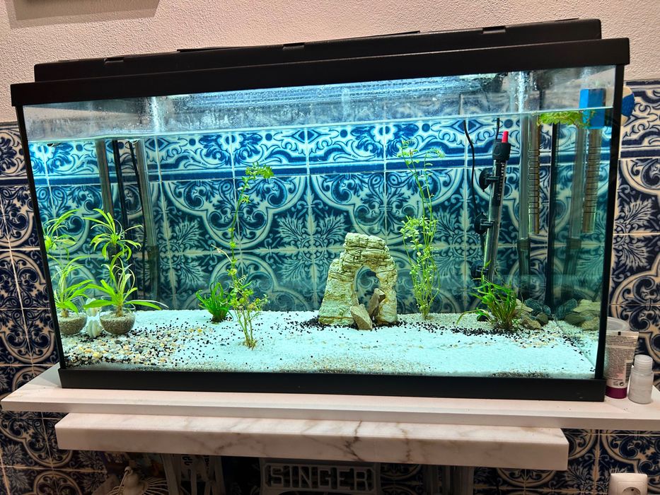 Aquario 130L + acessórios