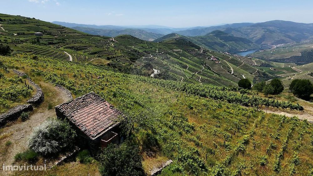 Terreno  para venda