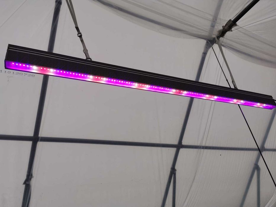 Lampa Led Growy Osram NEONICA Silver Pro 200  -ogrodnictwo - do roślin