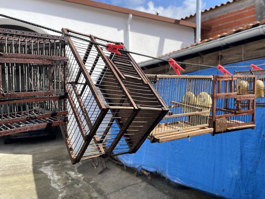 Gaiola pequena ou transportadora