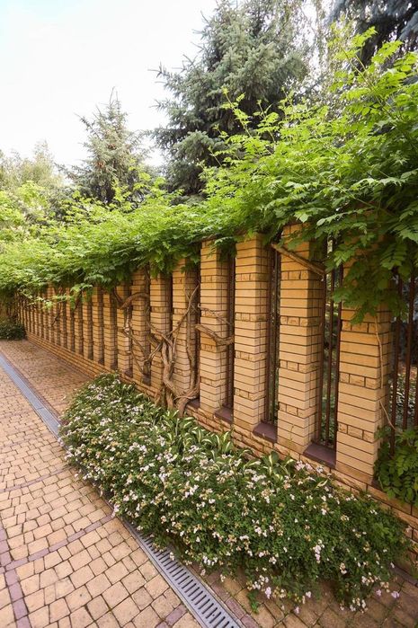 Продам дом Орловщина свой берег возле леса