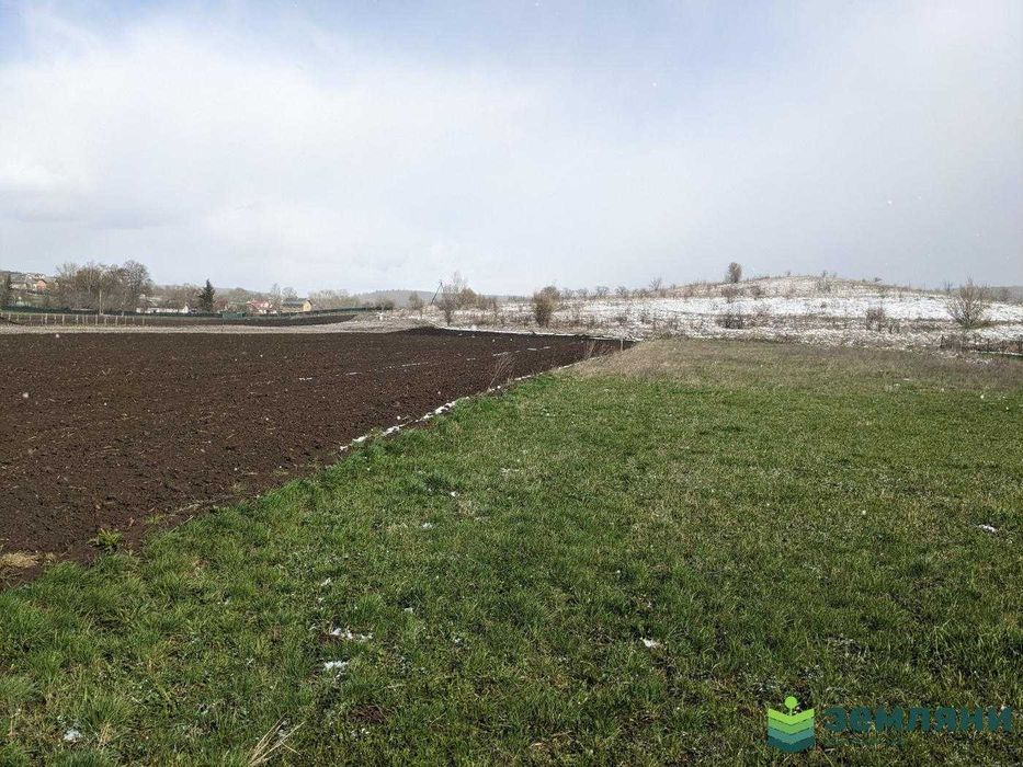 Продаж землі 32,87 сотки в с.Клубівці під забудову (5)