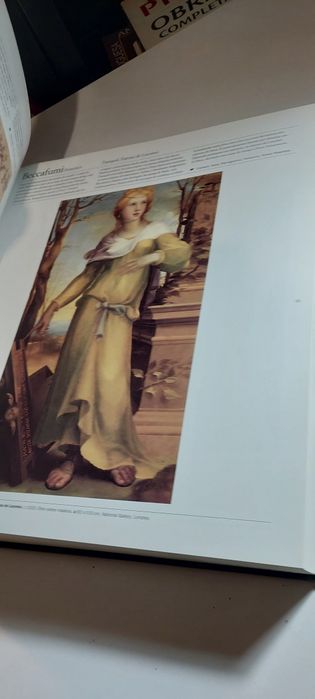 Os Grandes Mestres da Arte (Livros e Livros)