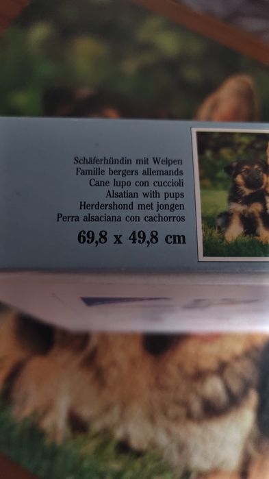 Puzzle 1000 sztPsy.Ravensburger kompletne