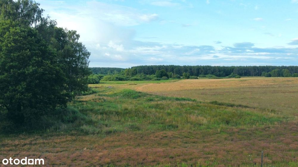 Budowlana, obok las i pole golfowe. Media i droga w trakcie realizacji