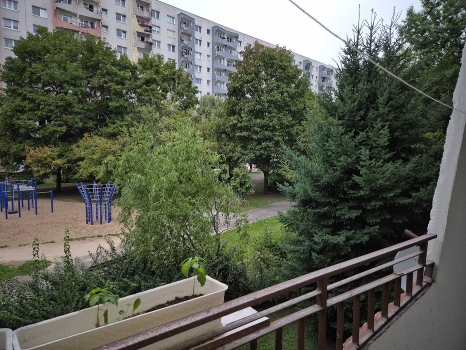 Zdjęcie 8