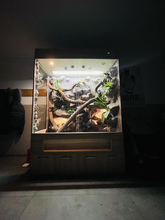 Profesjonalne Terrarium z Kamienia