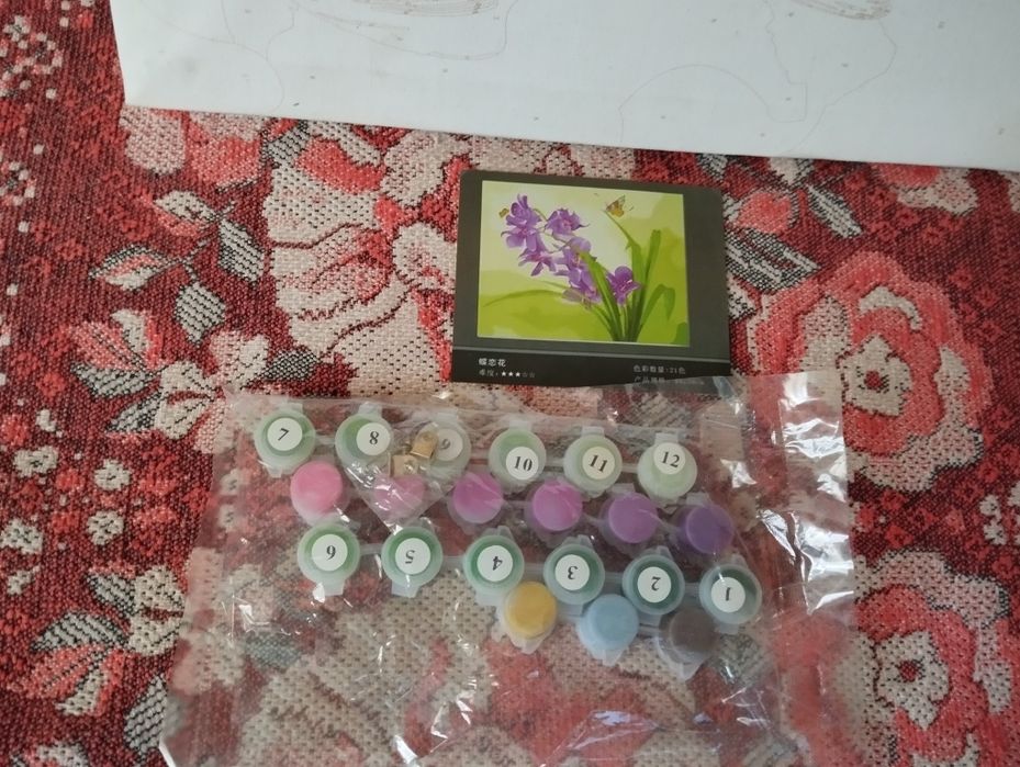Картина по номерам 50*40 см Ирисы