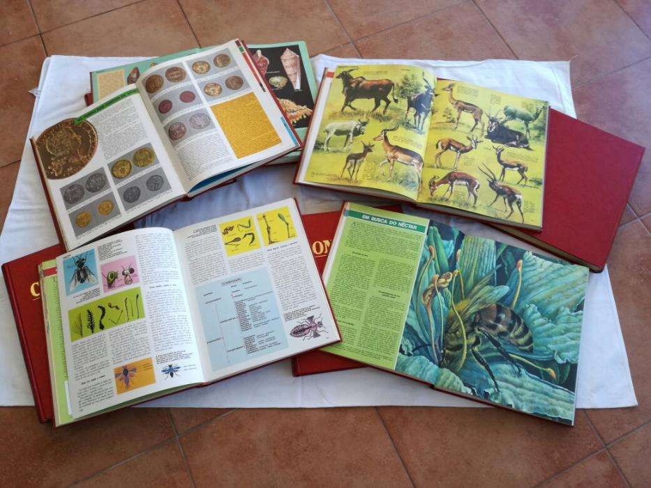 Enciclopédia Conhecer - Abril Cultural