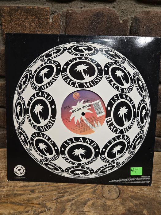 Winyl. SUGA FREE On My Way