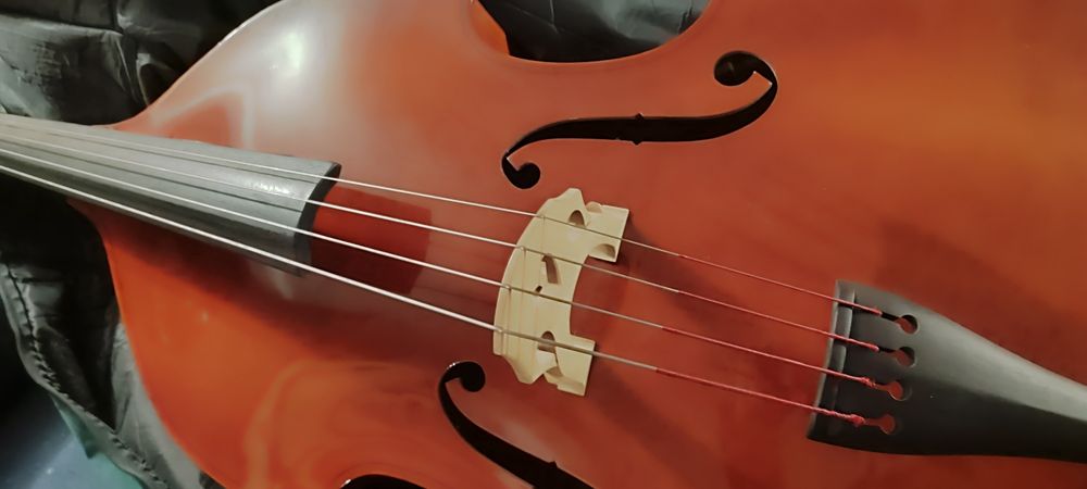 Contrabaixo strunal como novo