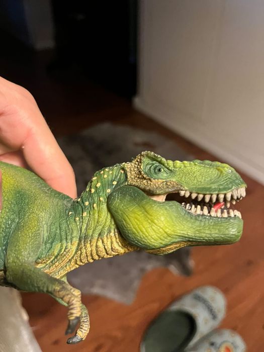 tubarão martelo é do oceanario, O tubarão limão é da cience4you e o T-rex também e o dinossauro Estegossauro (Stegosaurus