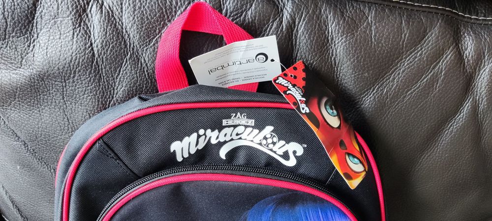 Mochila Nova Lady Bug