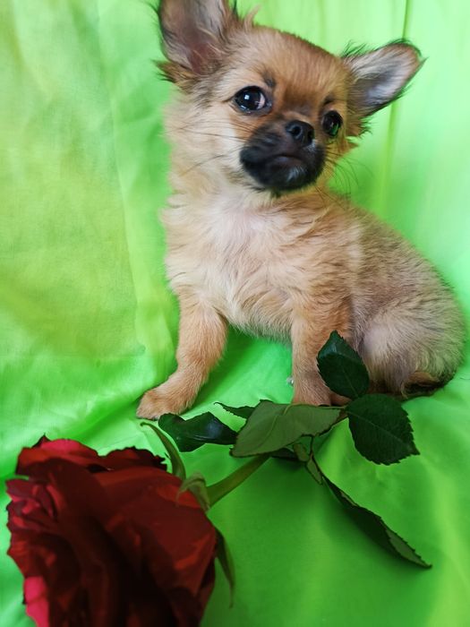 Подарунок закоханим!!!