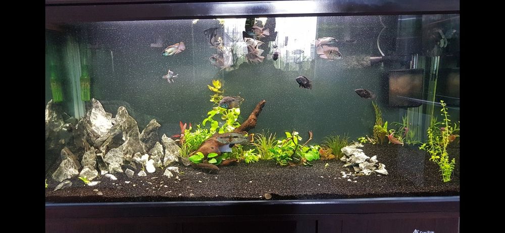 Akwarium 350l zaokrąglone rogi