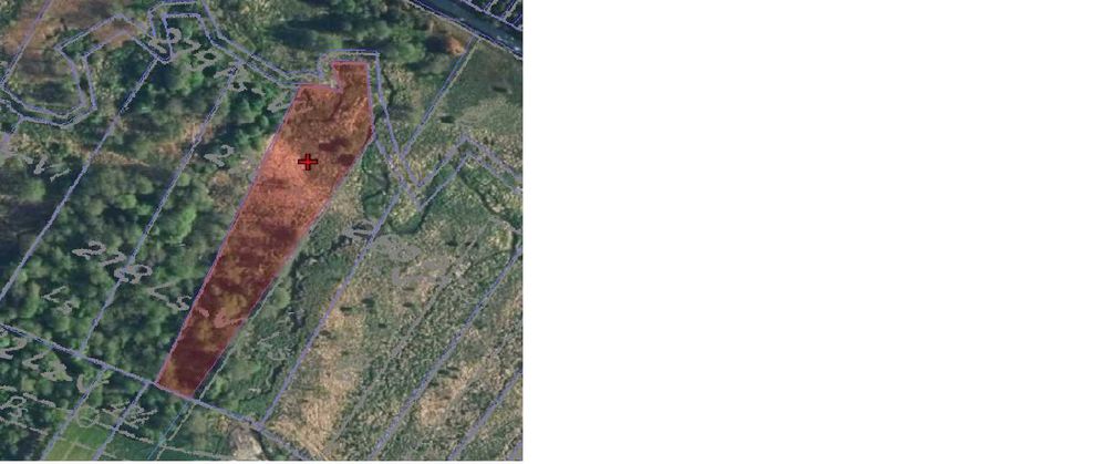 Syndyk sprzeda udział w nieruchomości - Bełk