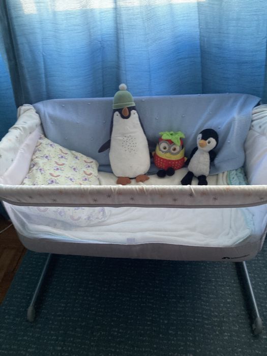 Baba Cuida de Bebes e criancas