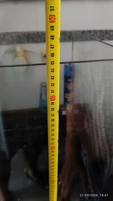 Vendo Aquário da Blau 90litros