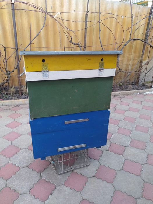 Ульи два корпуса для пчел