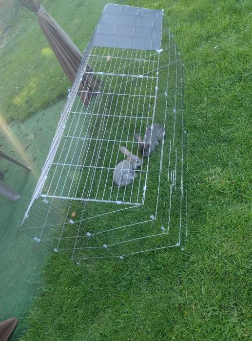 klatka na króliki kojec dla psa boks zagroda metalowe z daszkiem NOWE